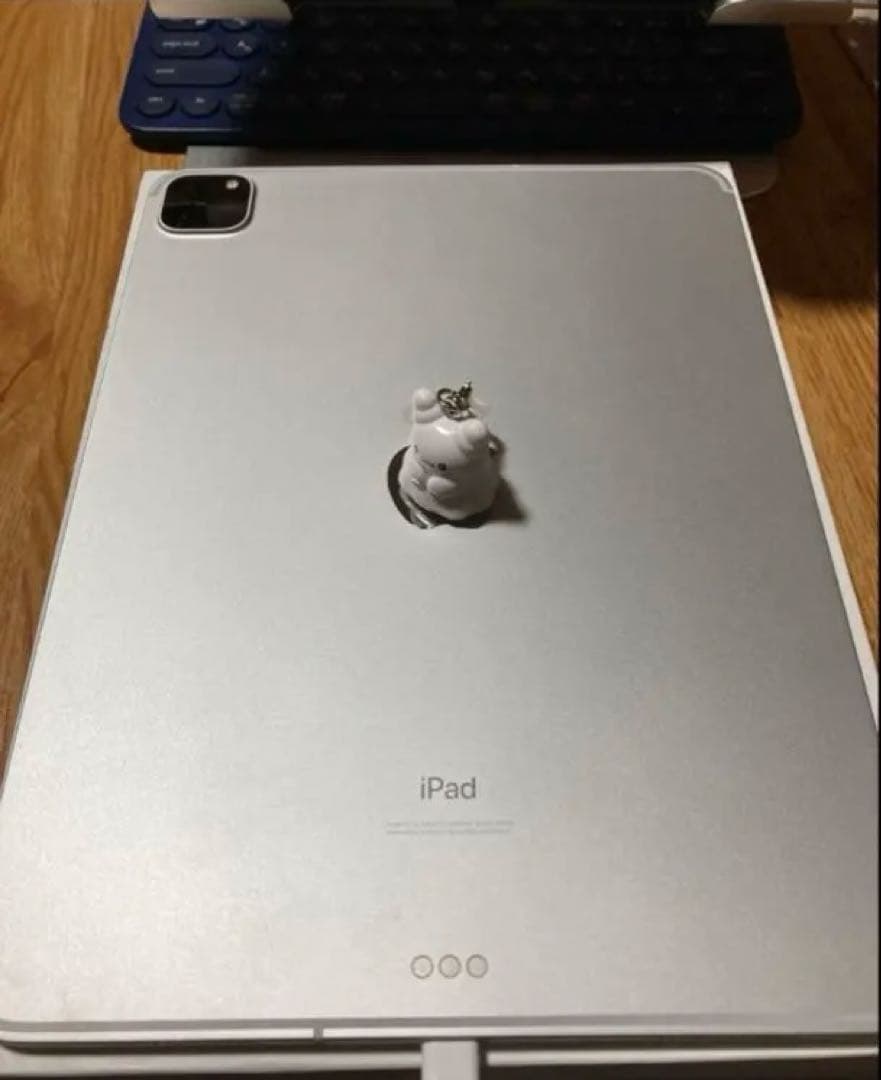 iPad Pro 11インチ 第2世代 128GB+Cellularモデル