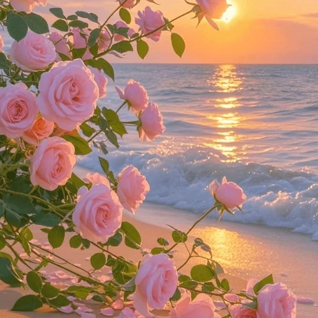 まいやん°＊様　anuansネイビー