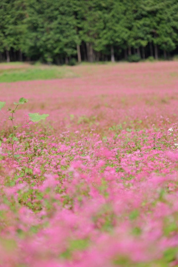 カラーリング・白髪染め Onemu