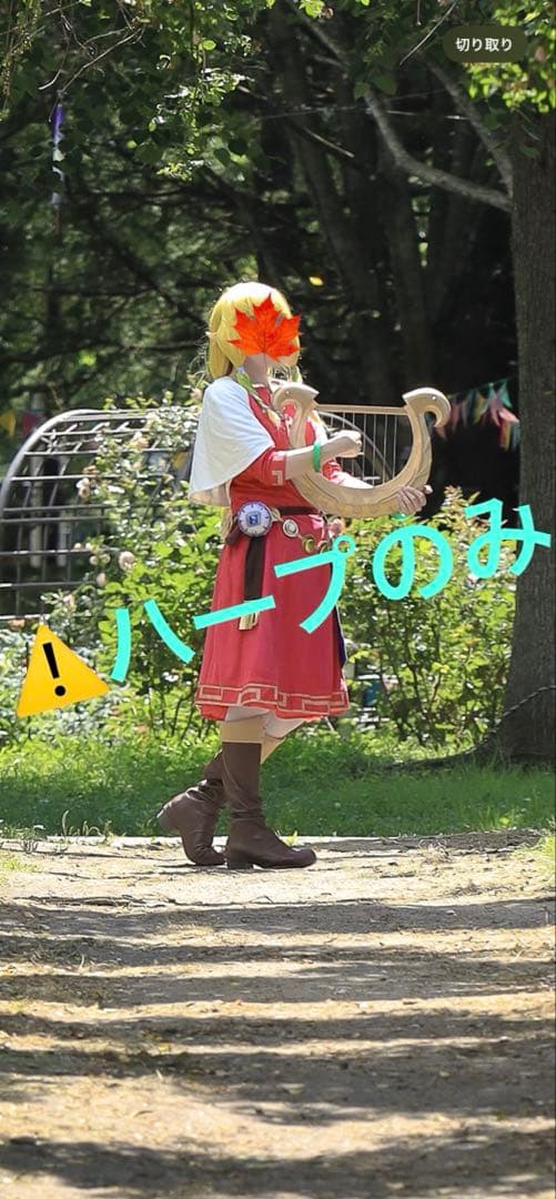 ゼルダの伝説 スカウォ ゼルダのハープ