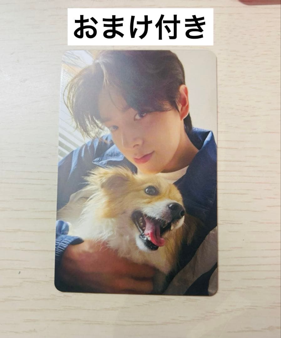 【本日限定価格】 ENHYPEN ジェイク アンケートトレカ 2025