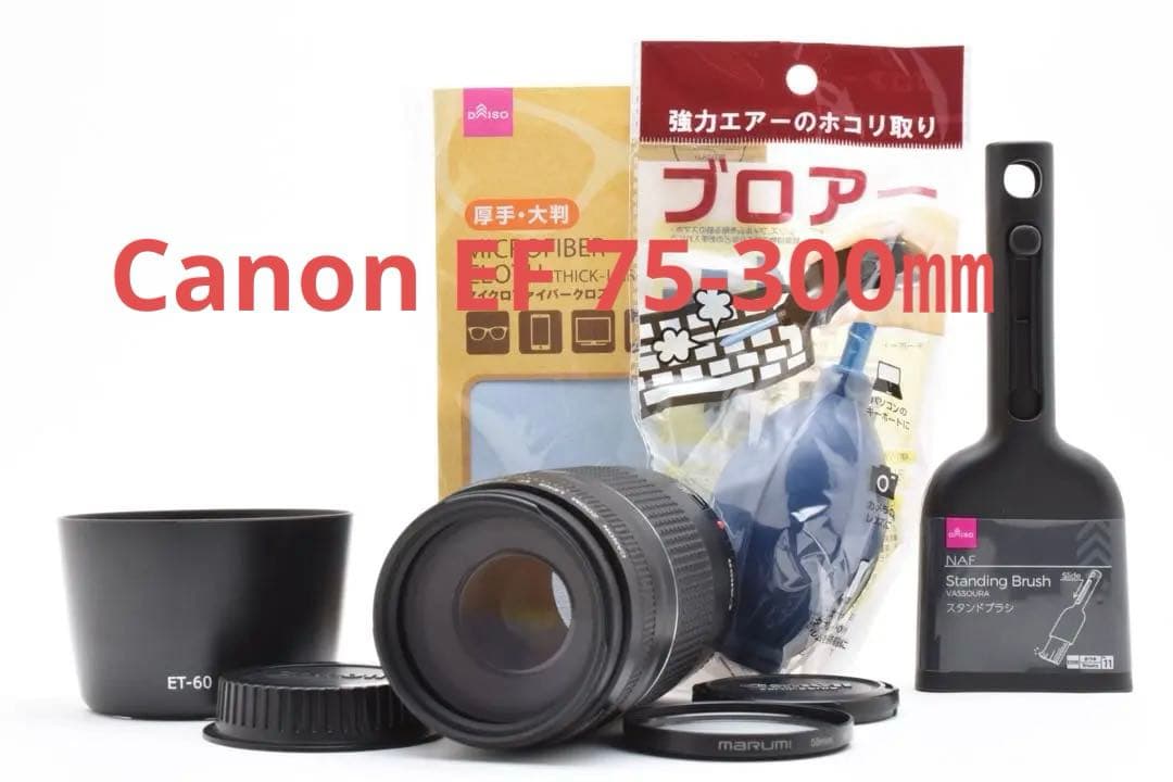 望遠レンズCANON EF 75-300mm F4-5.6 III