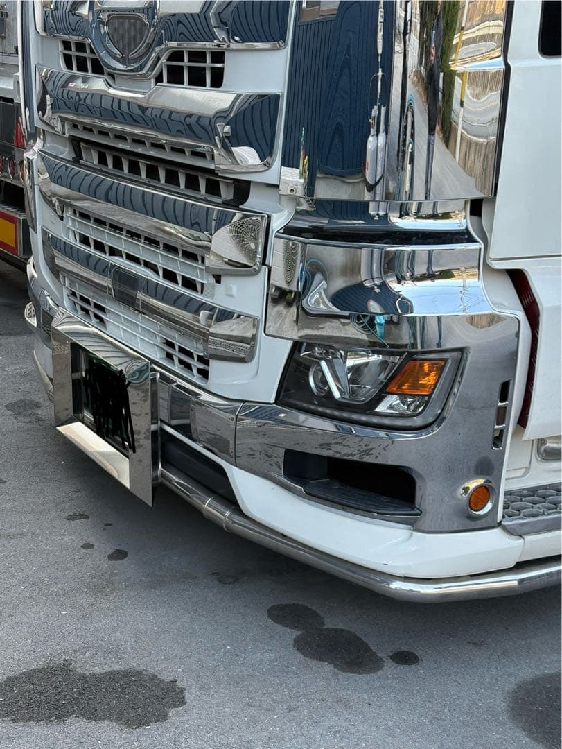 大型　ナンバー枠　17プロフィア