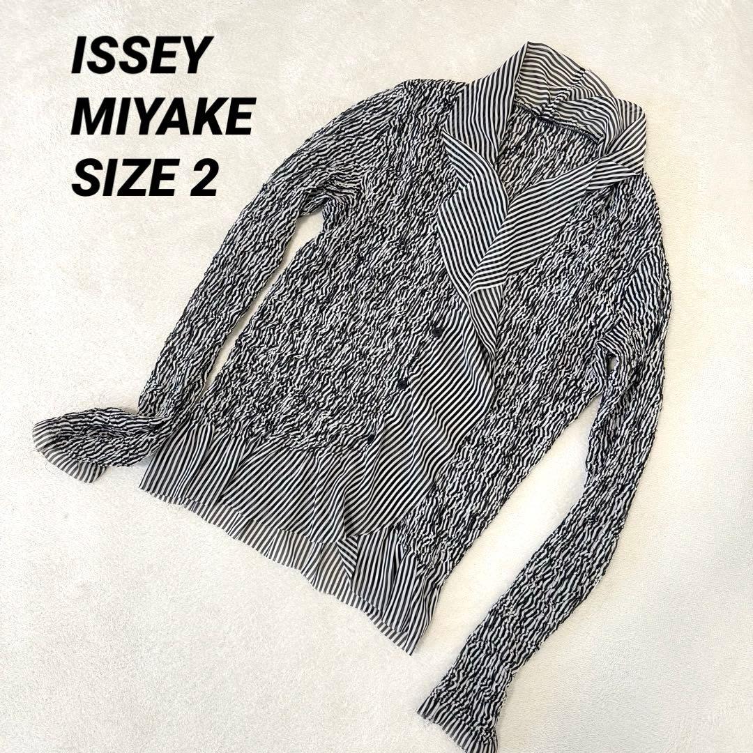 ISSEY MIYAKE プリーツ　ブラウス　変形　白　黒　長袖　Mサイズ