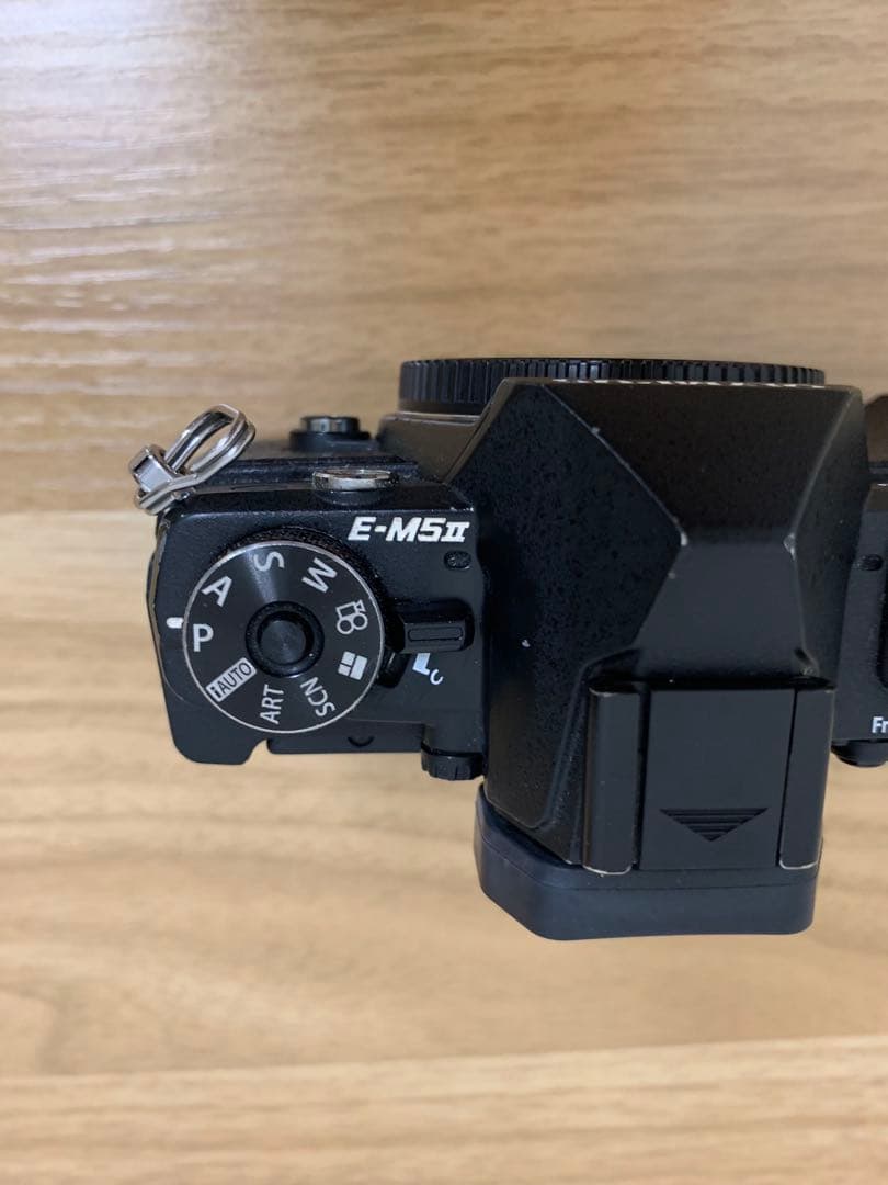 OLYMPUS OM-D E-M5 Mark ブラック 訳あり ジャンク品