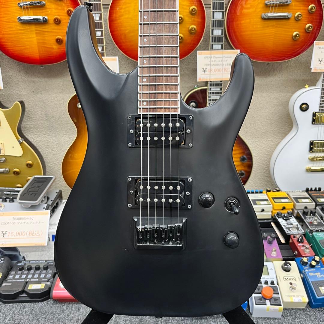 【11581】Grass Roots by ESP HORIZON セットネック