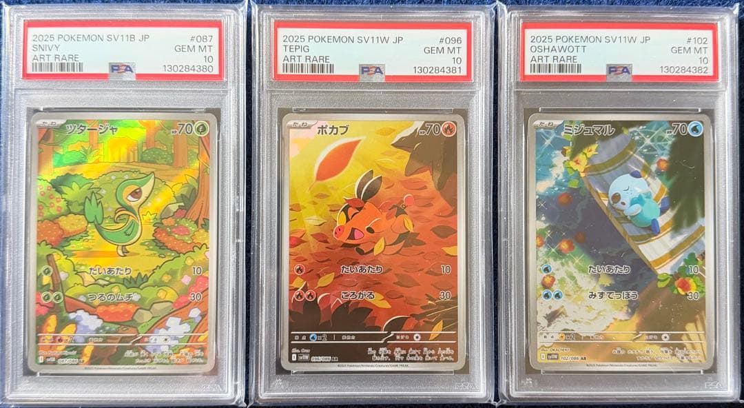 PSA10 ３連番 御三家 ツタージャ ポカブ ミジュマル AR ブラホワ