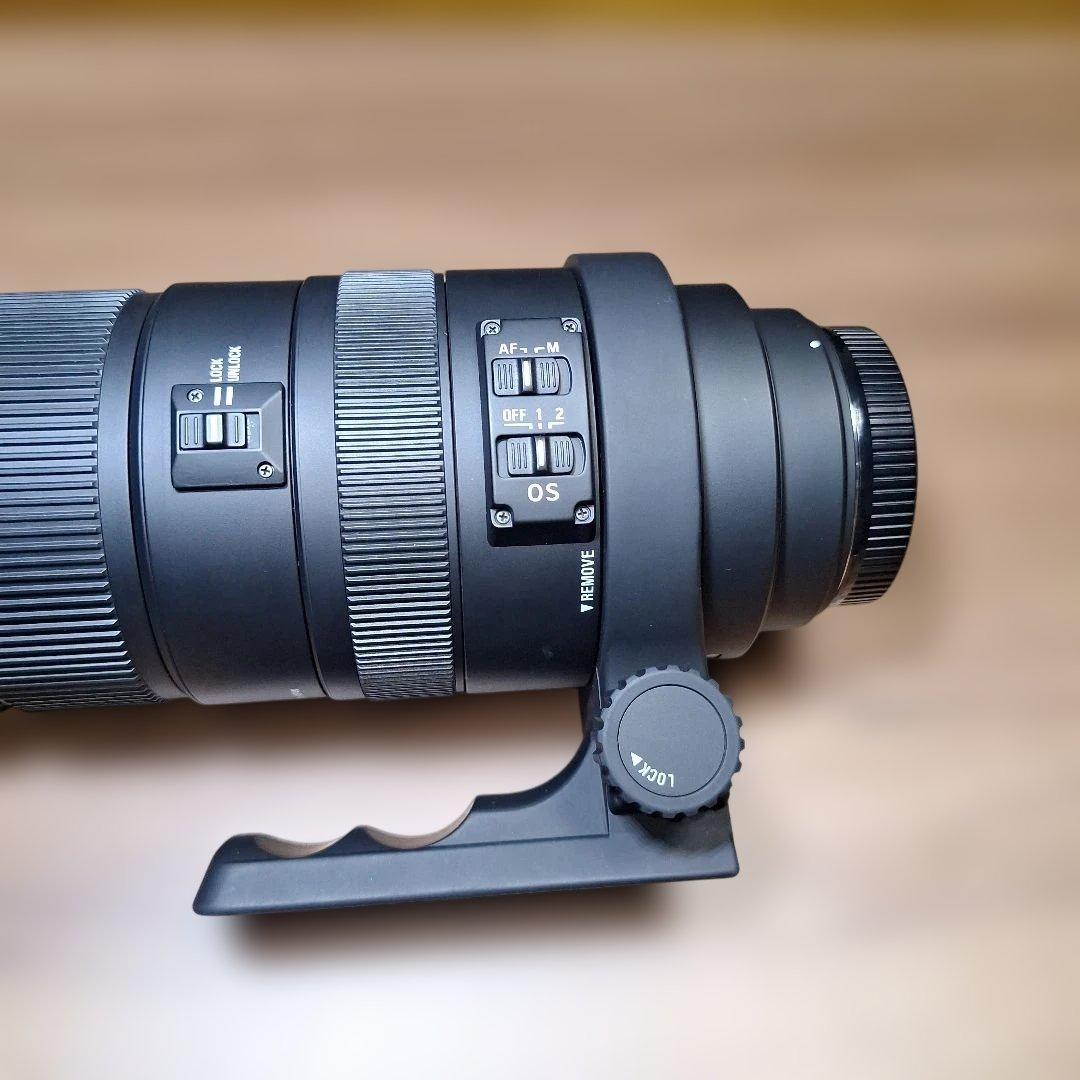 ★SIGMA★シグマ★APO150-500F5-6.3DG