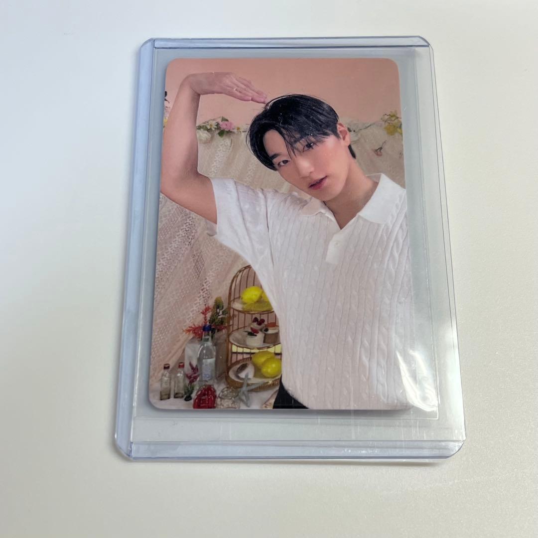 ateez MIGHTEEZ ポップアップ 購入特典 トレカ サン