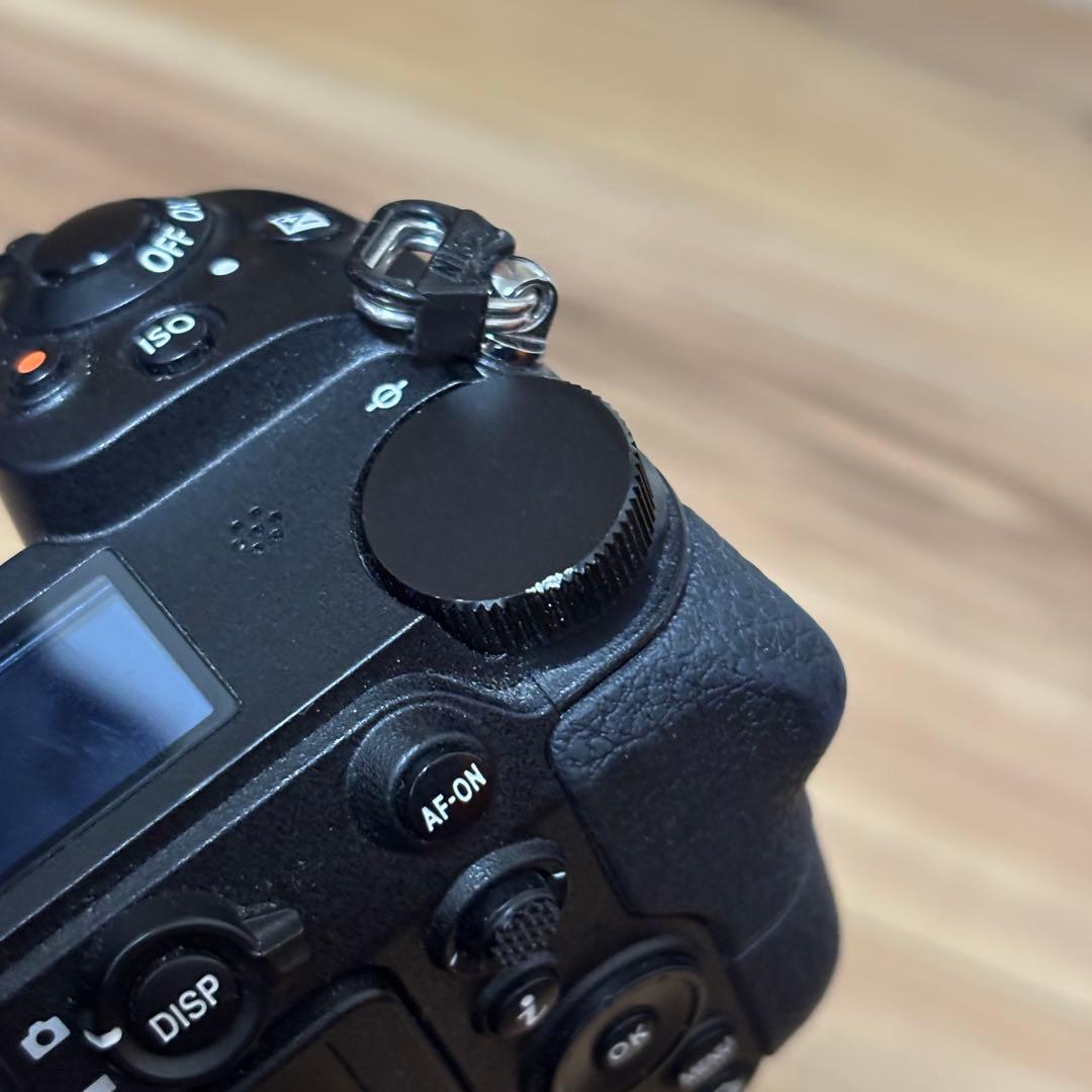 ニコン Nikon Z6 ボディ ミラーレス一眼カメラ おまけ付き