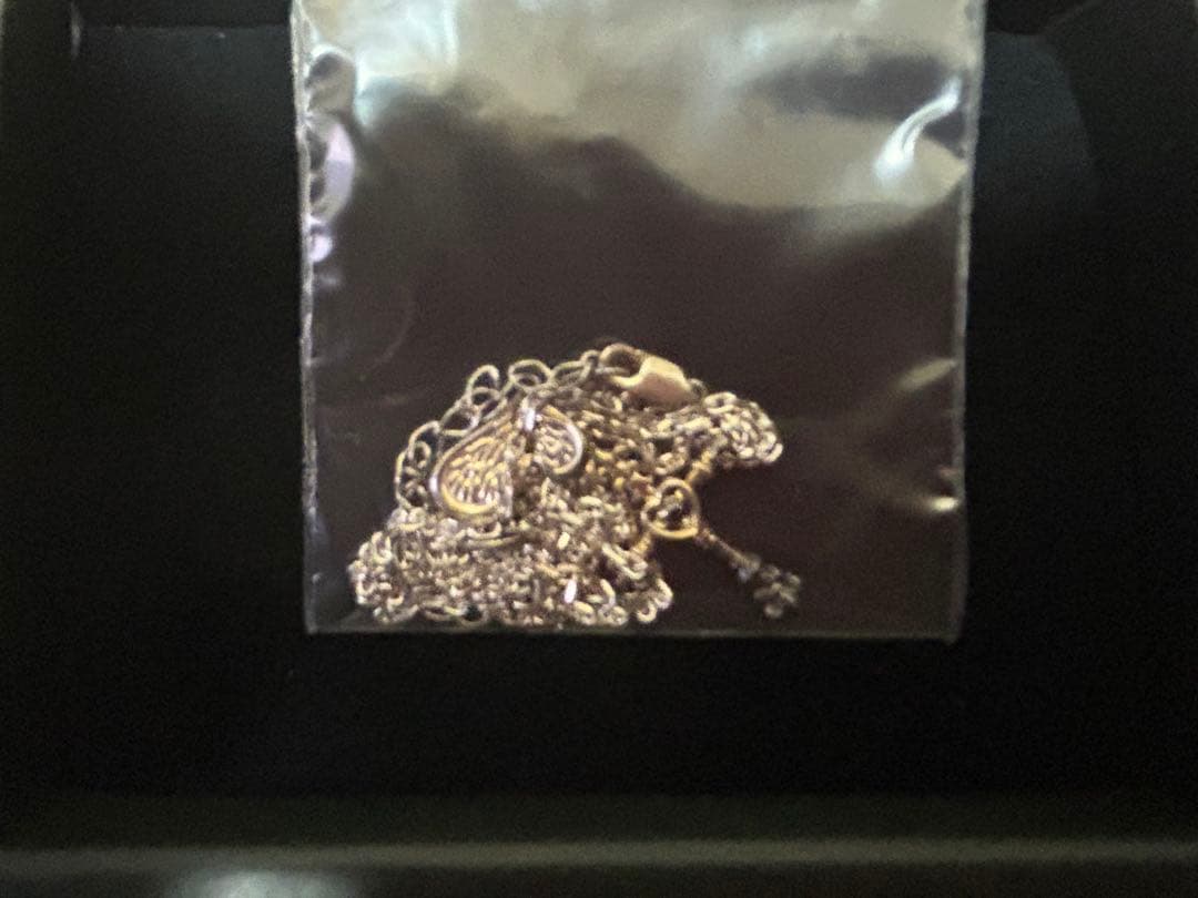 KlosAngel ネックレス yasu着用モデル