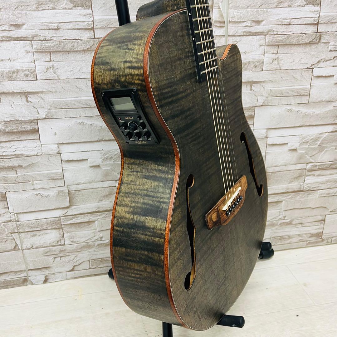 美品 ARIA アリア Fホールエレアコ FET-F2 STBK