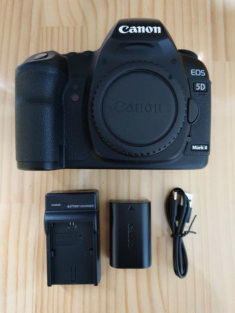 Canon キャノン EOS 5D Mark II シャッター数 約1729回
