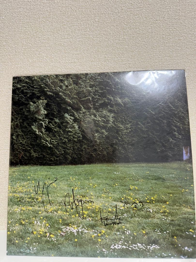 ミツメ ghosts mitsume レコード サイン入り 未使用