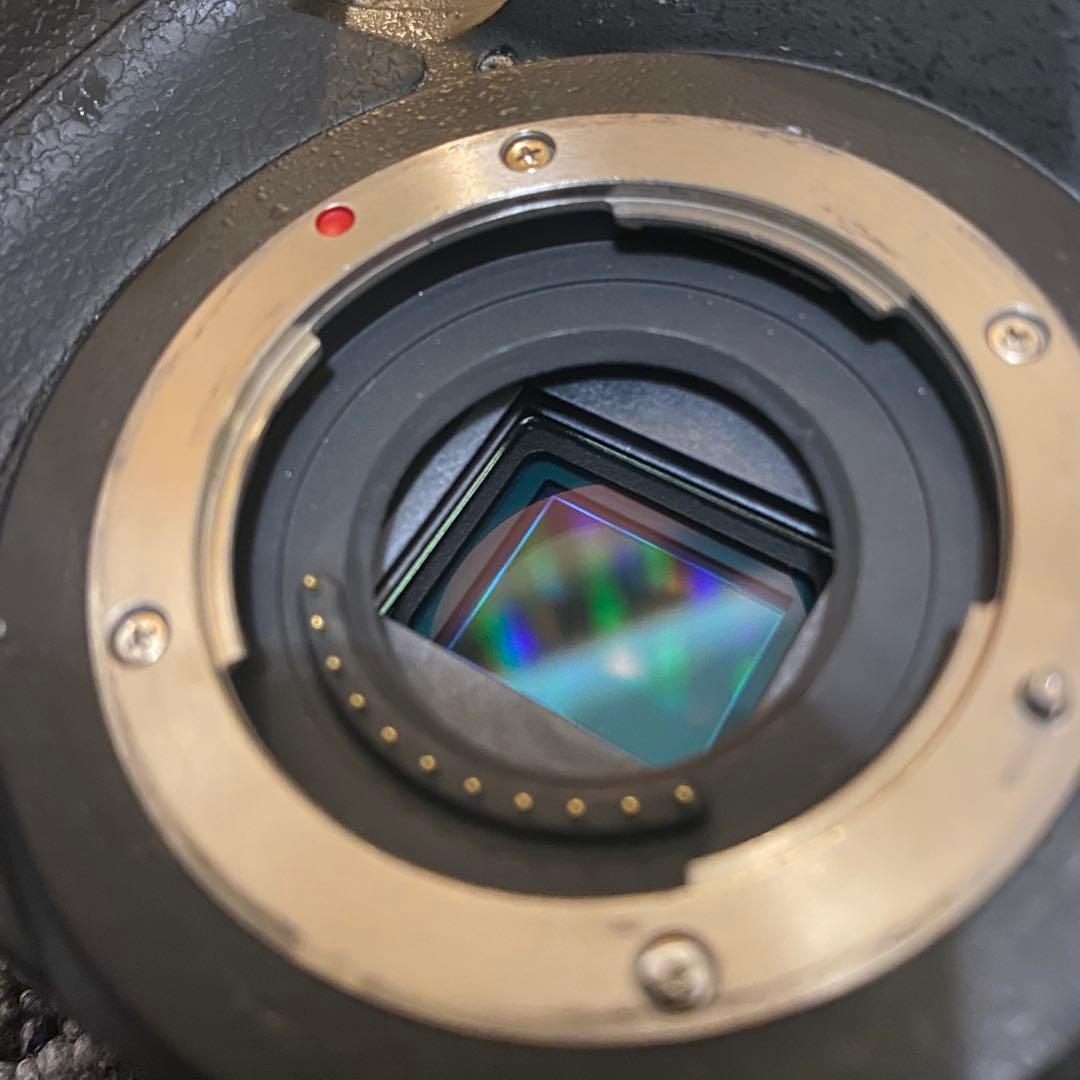 デジタルカメラ LUMIX GH4