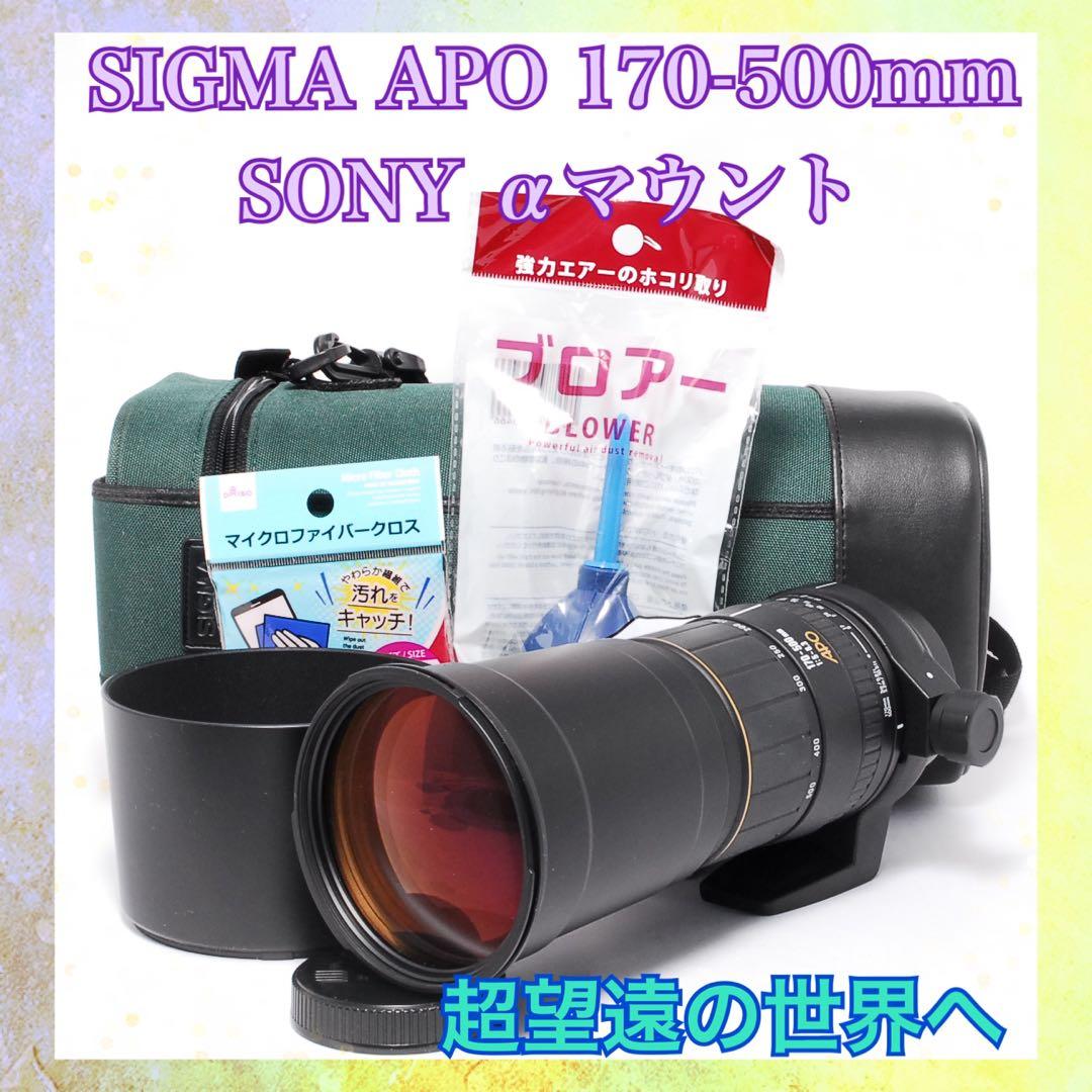 ◆動作確認済み◆SIGMA APO 170-500mm SONY◆超望遠の世界へ