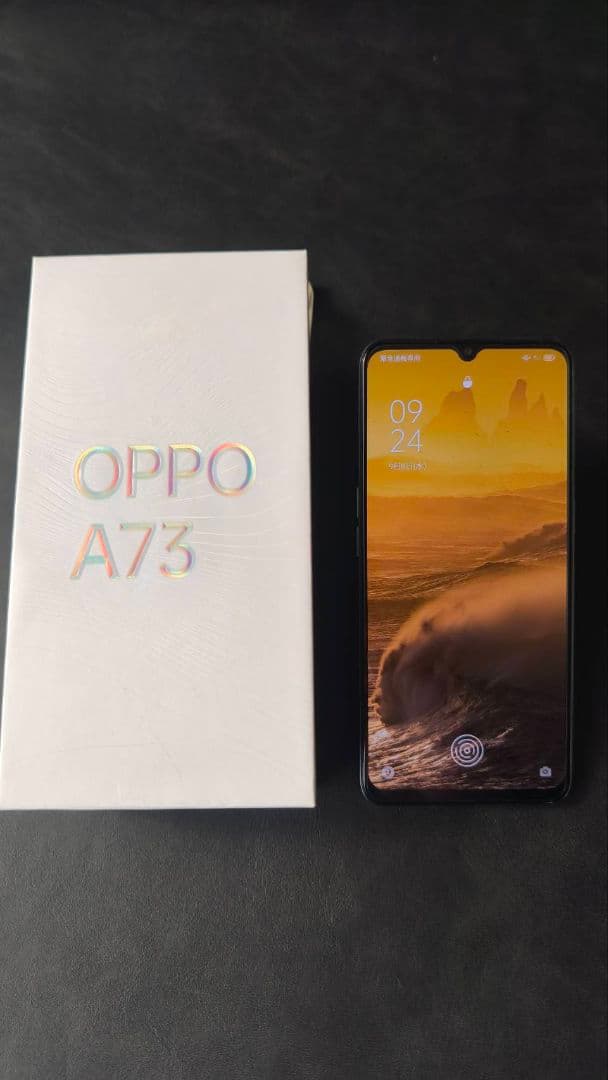 OPPO A73 本体 USBケーブル・イヤフォン付き