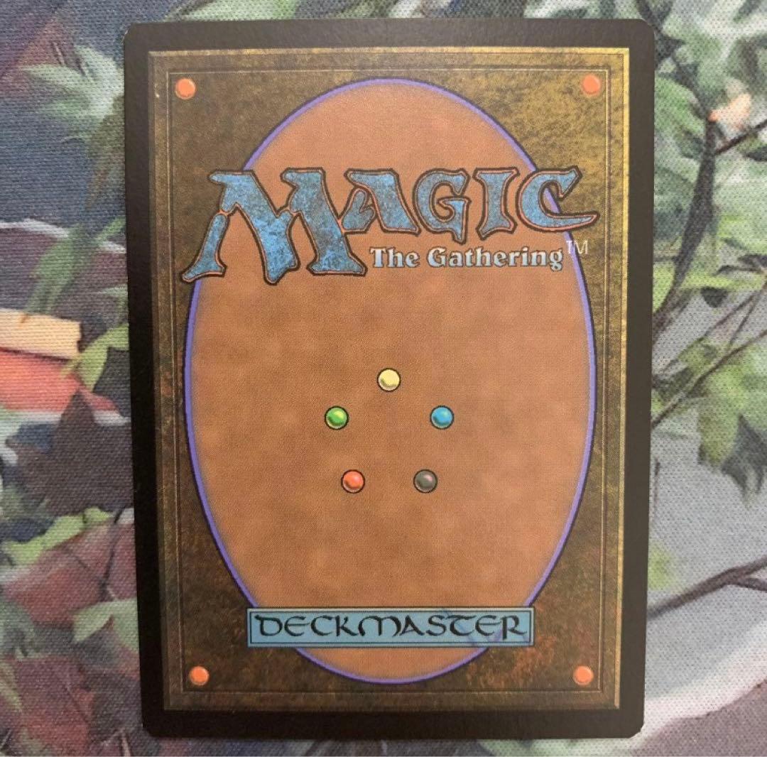 【2/8まで出品】宝石の睡蓮　英語　1枚