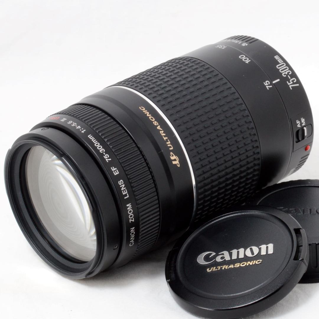 ⭐️実用品⭐️Canon キャノン EF 75-300mm 4-5.6 ⅢUSM