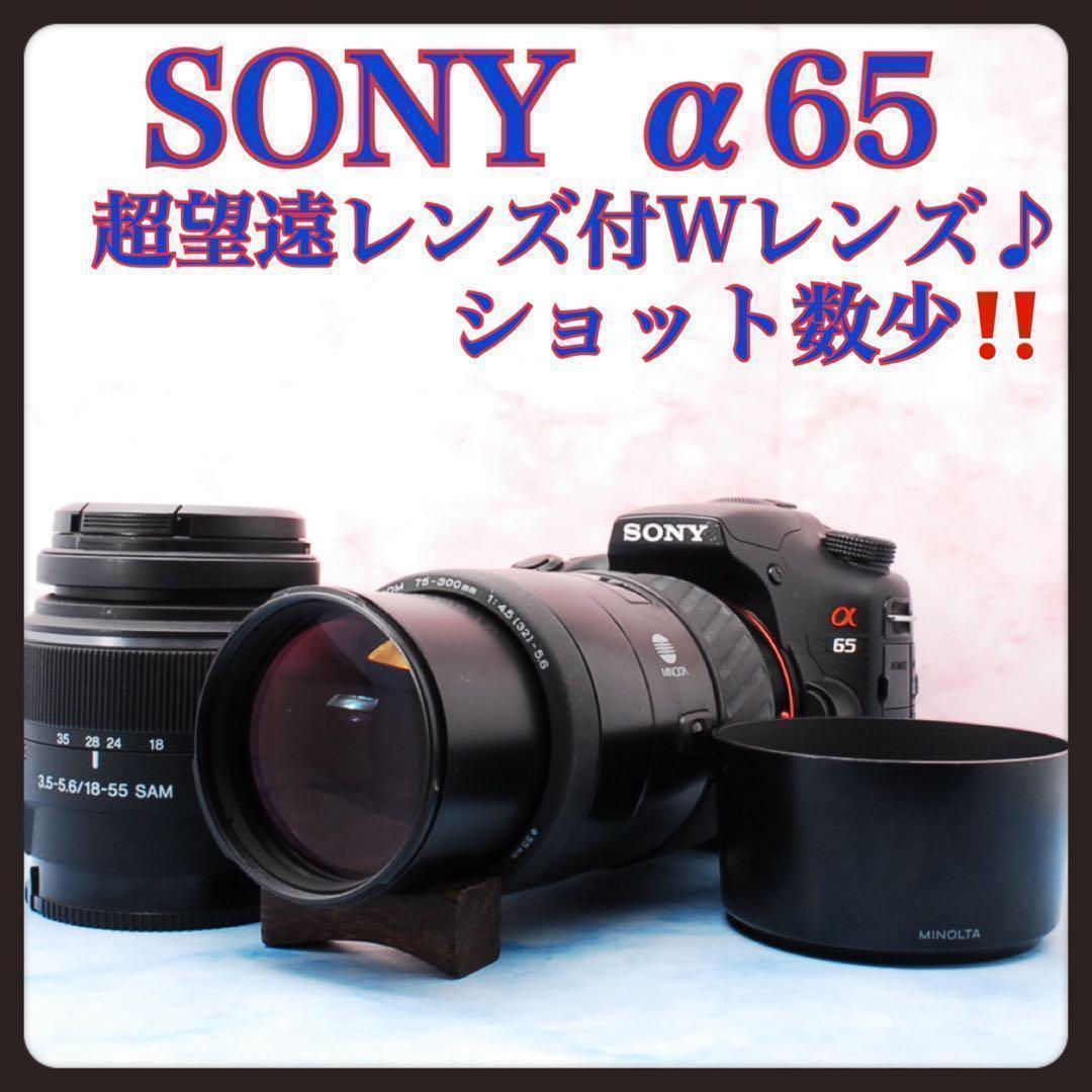ショット数少✨SONY α65✨Wレンズ✨一眼レフカメラ✨高速連写＆高画質