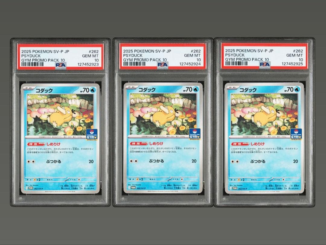 【PSA10】 コダック ジムプロモ しめりけ 262/SV-P 3連番