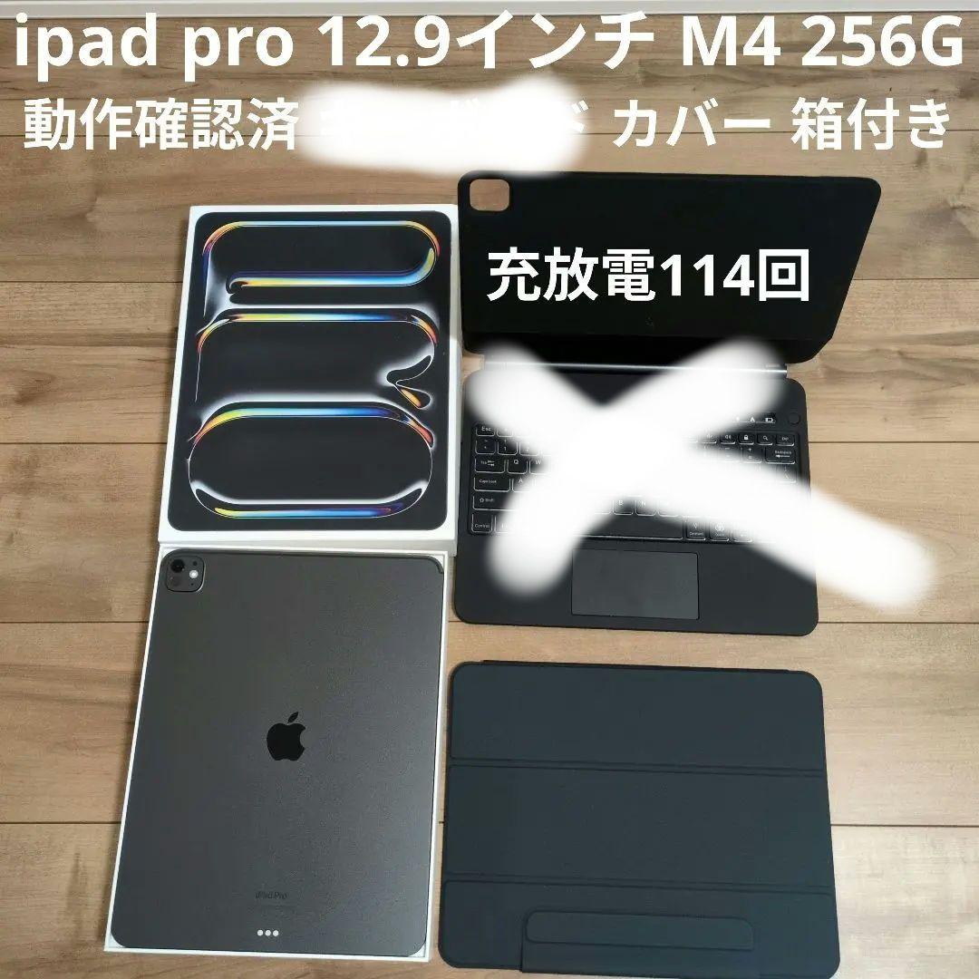 Apple iPad Pro (M4) 13インチ 256GB スペースグレー