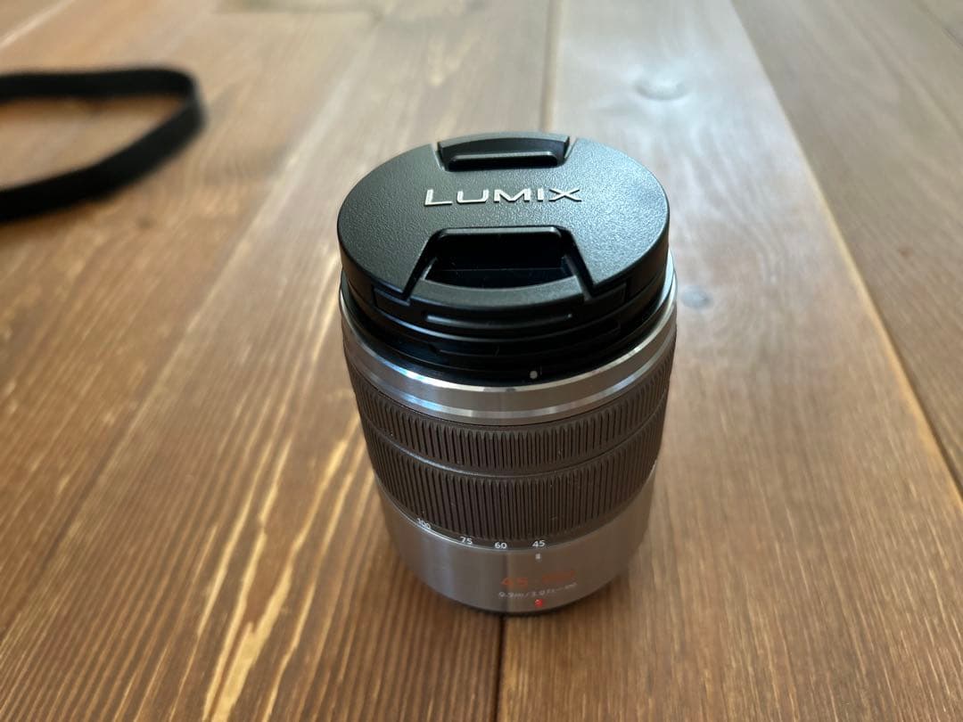 Panasonic Lumix ミラーレス一眼カメラ 2本レンズ付き