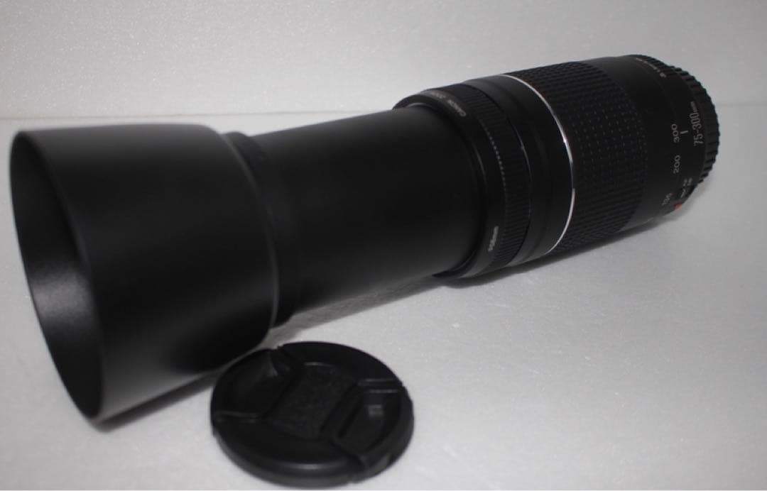 望遠レンズ☆キャノン☆Canon EF75-300㎜1:4-5.6Ⅲ