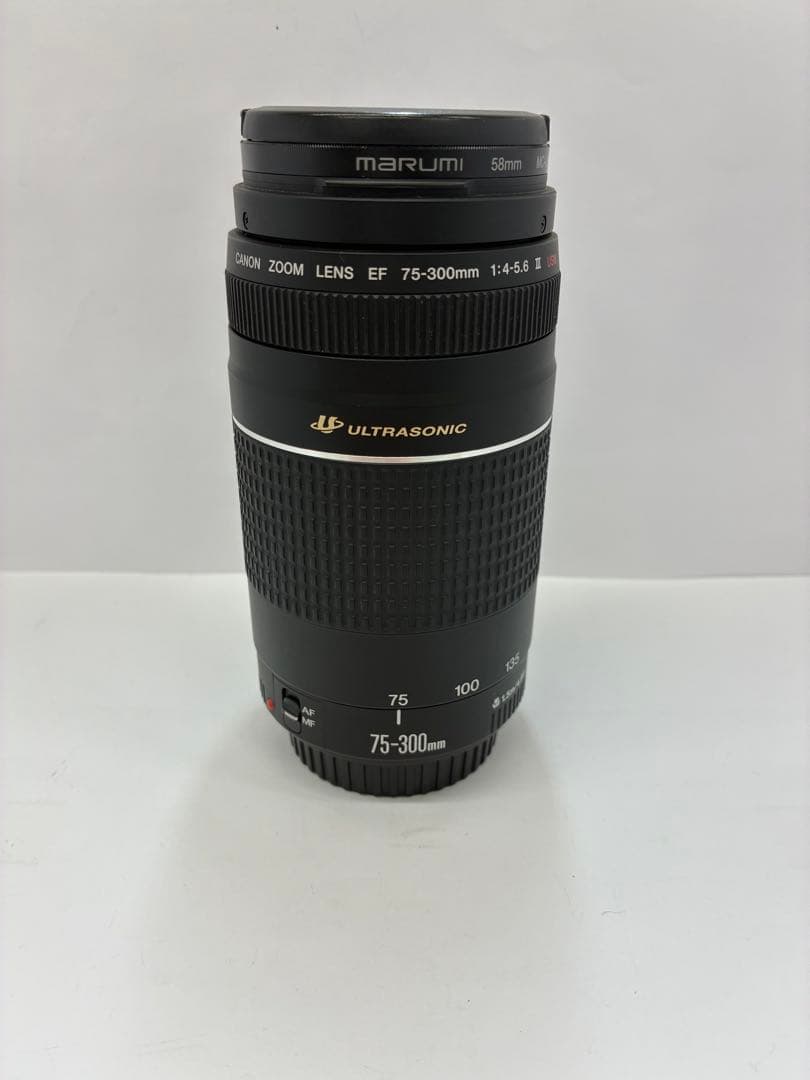 Canon EF 75-300mm 4-5.6 III USM 超望遠レンズ