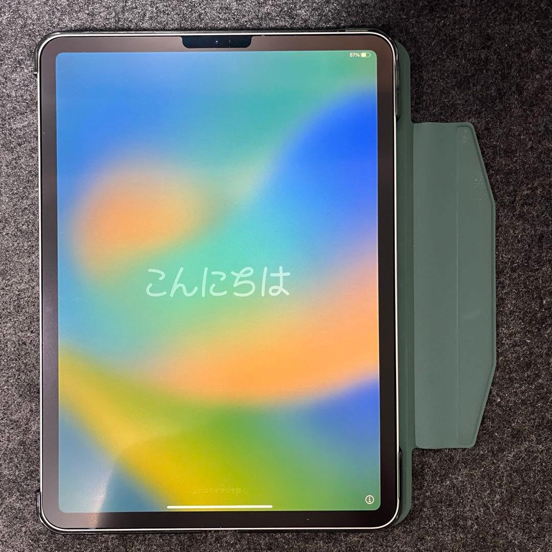 iPad Pro 11インチ (第2世代) スペースグレー