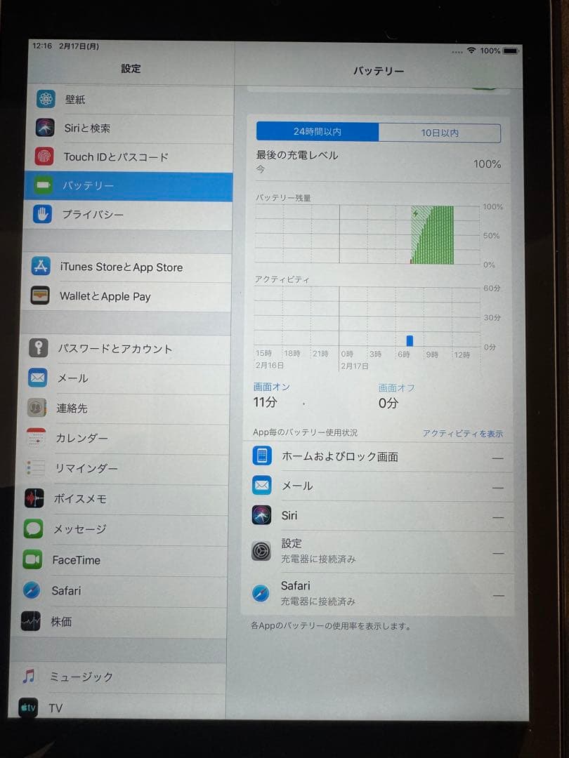 Apple iPad mini 3 本体