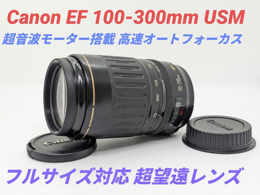 1月29日限定価格【超望遠レンズ】Canon EF 100-300mm USM