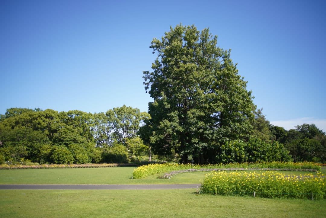 【動作確認済】RICOH XR RIKENON 28mm f2.8 富岡光学製