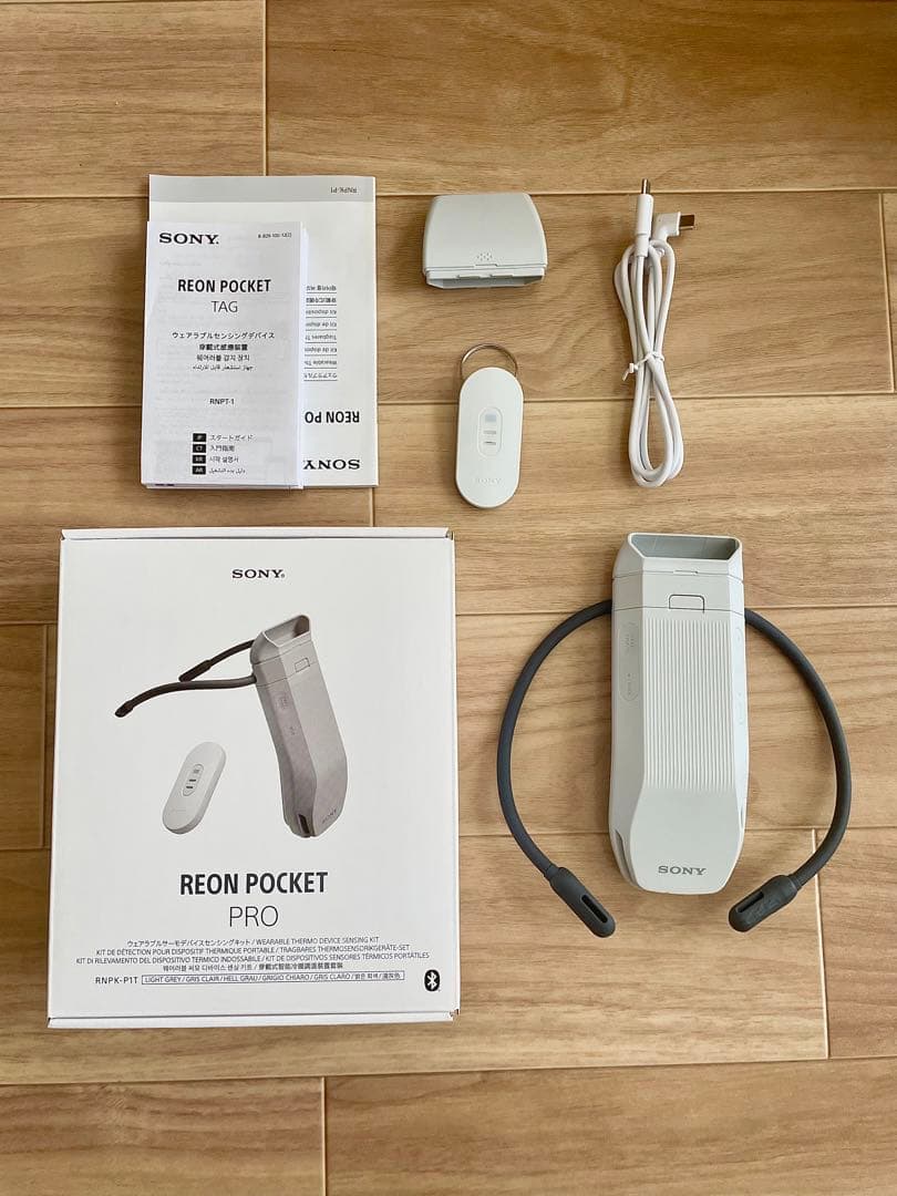 【美品、内袋あり】レオンポケットプロ　REON POKET PRO