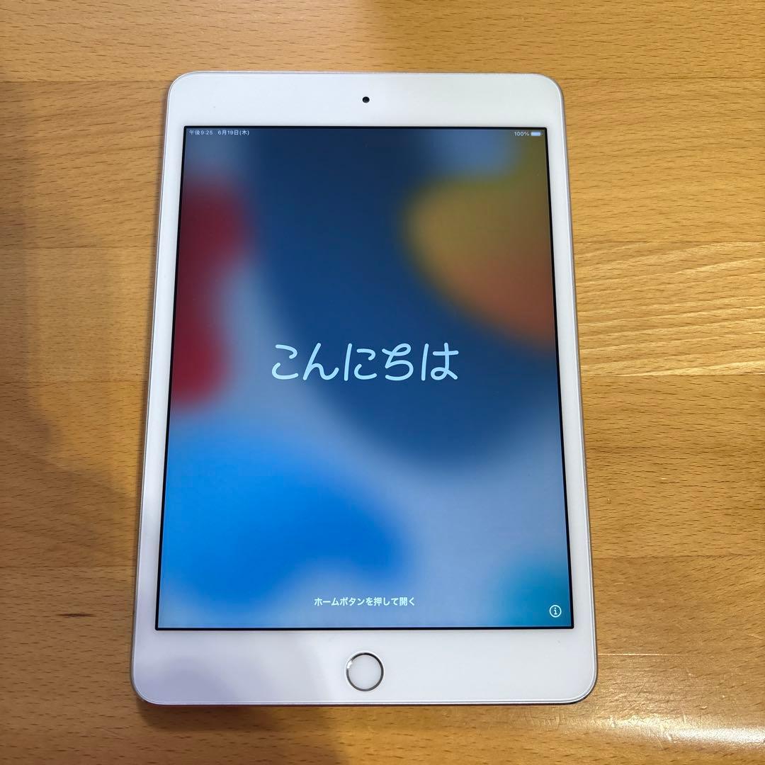 iPad mini 第4世代 Wi-Fiモデル　128GB