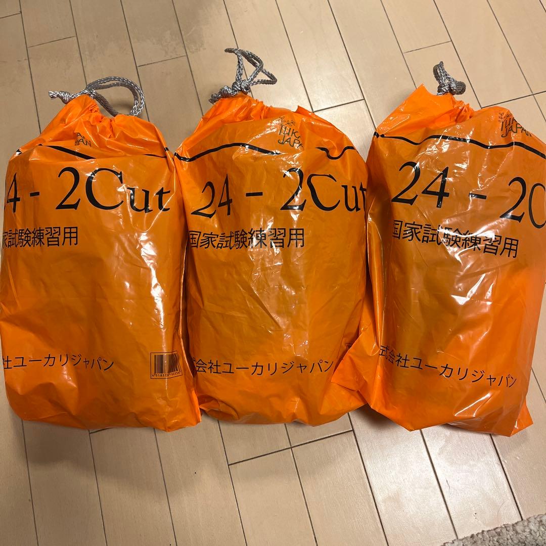 美容師国家試験　練習用　カットウィッグ　新品未使用　プラスおまけウィッグ付き