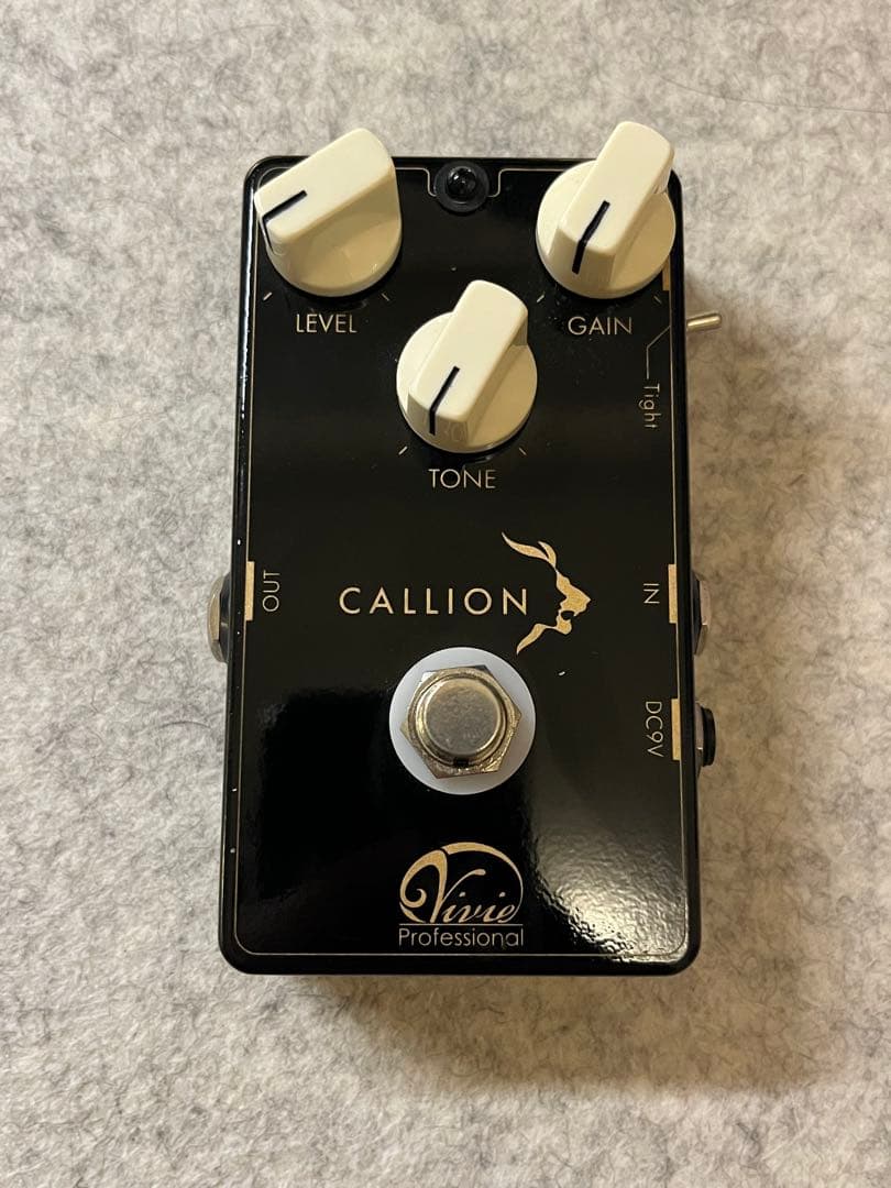 ギター Vivie Professional CALLION