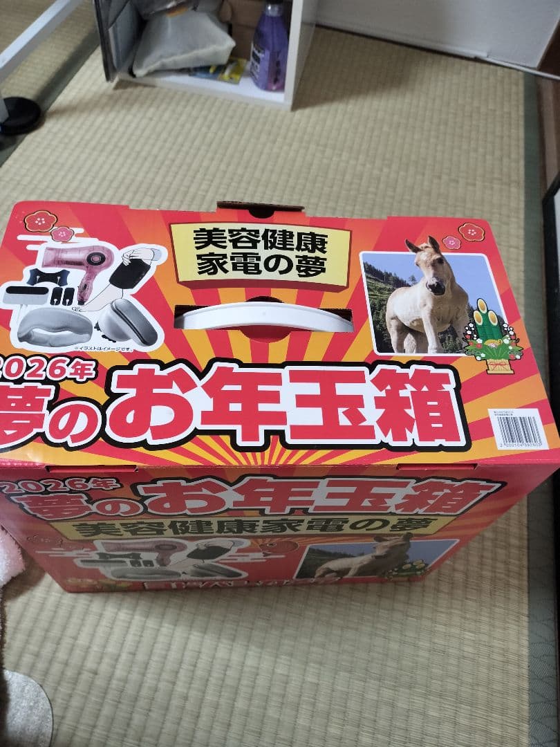 ヨドバシカメラ　夢のお年玉箱 2026年 美容健康家電