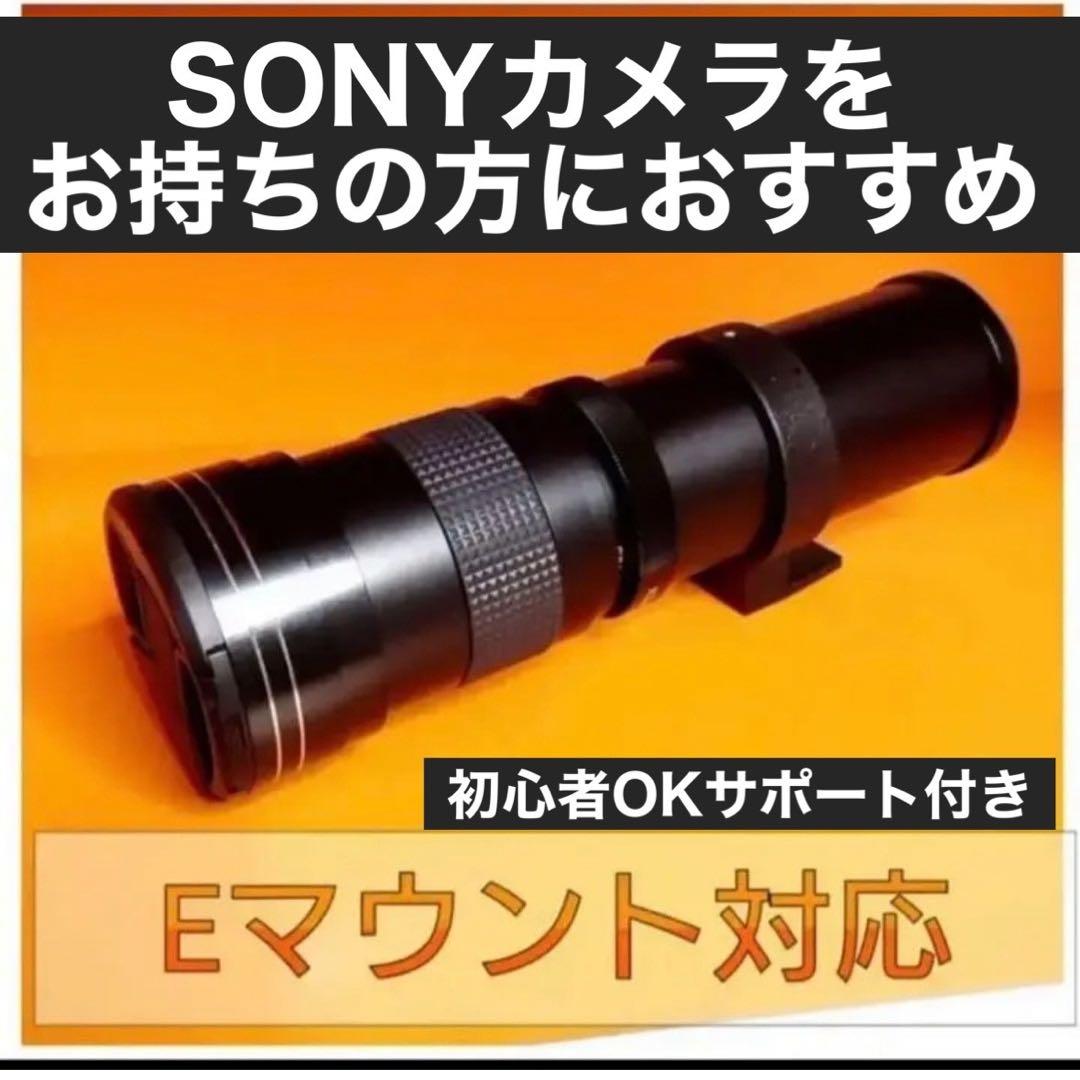 即決OK！カメラ初心者OK！SONYミラーレスカメラをお持ちの方におすすめレンズ
