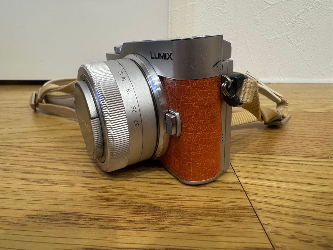 Panasonic LUMIX DC-GF9W ダブルレンズキット　ケース付