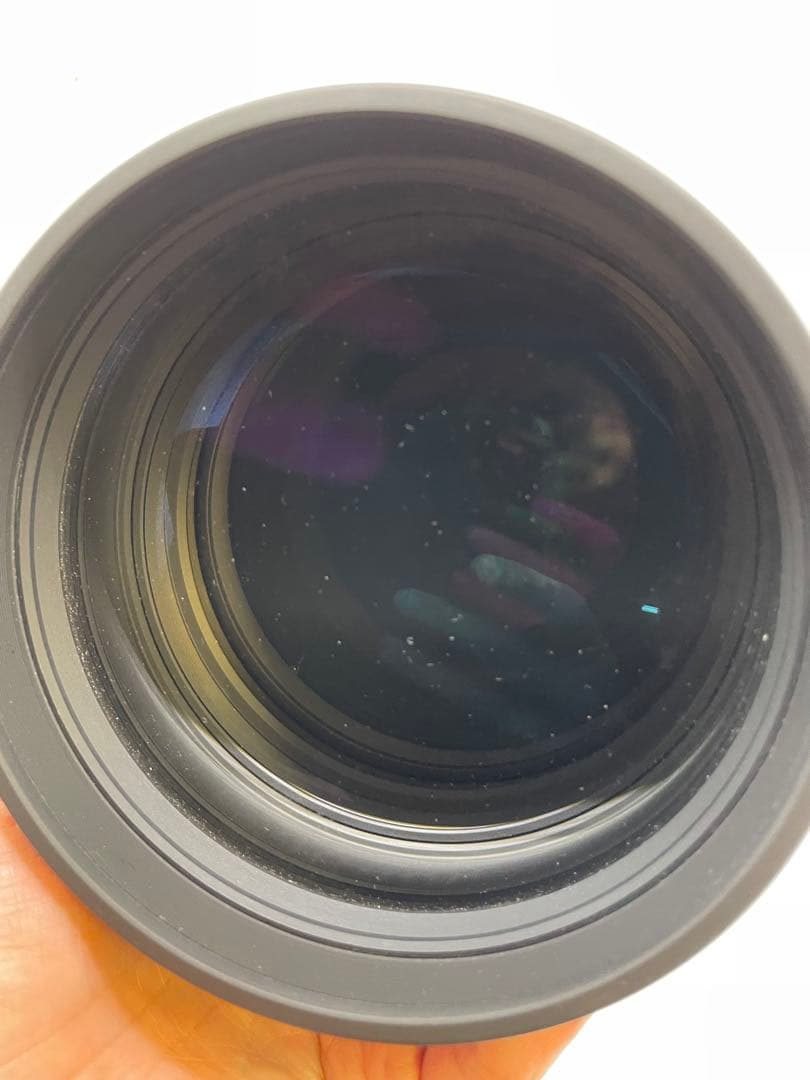 SIGMA 単焦点望遠レンズ APO 500mm F4.5 EX DG HSM