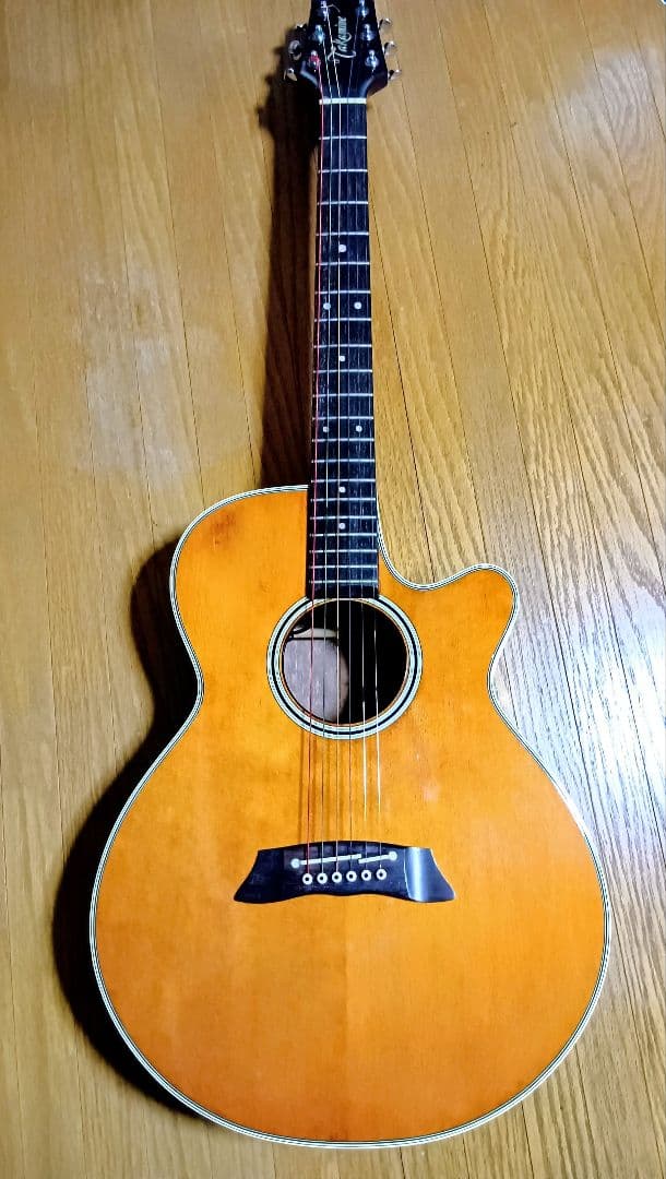 TAKAMINEエレアコPT-106