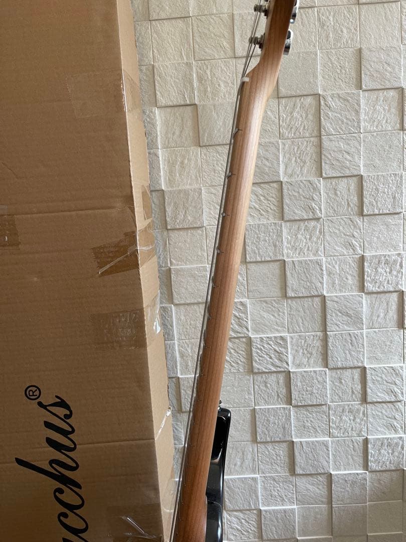 【セール中】Bacchus GS-4DX RSM/M ステンレスフレット