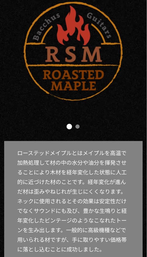 【セール中】Bacchus GS-4DX RSM/M ステンレスフレット