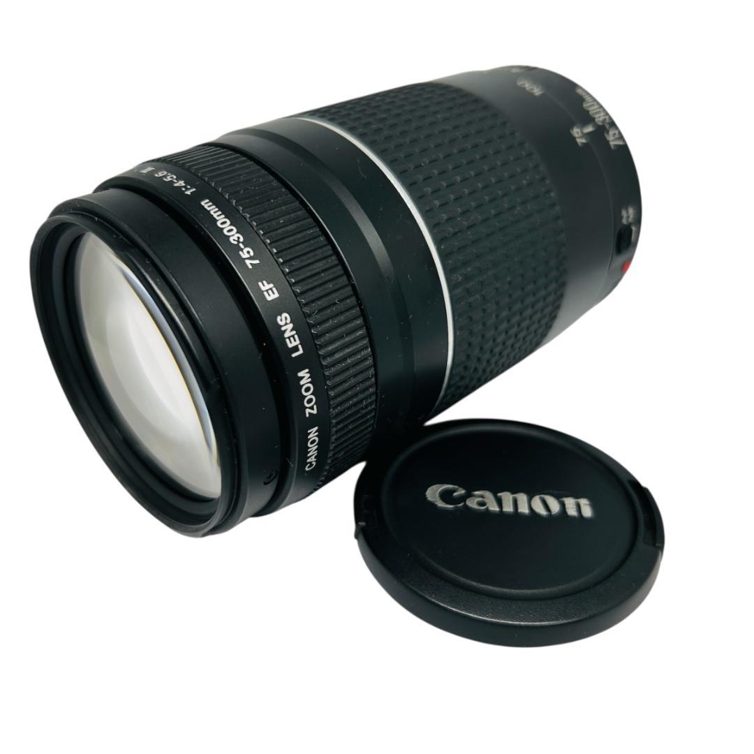 Canon EF 75-300mm f/4-5.6 III 望遠ズームレンズ