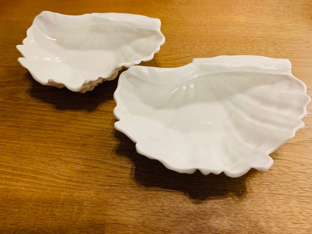  Nautilus collection 貝殻 小物入れ