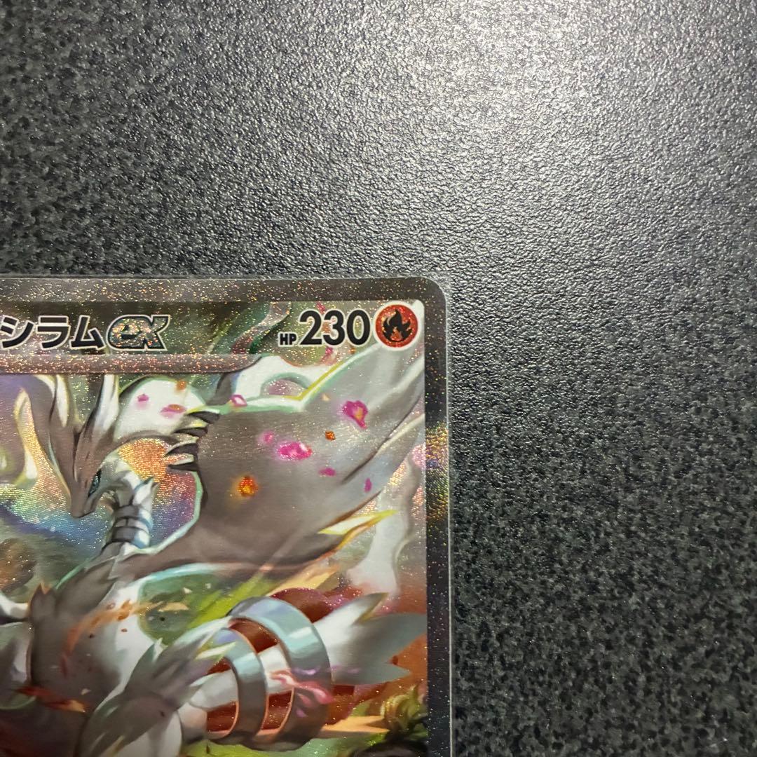 ポケカ レシラムex SAR 美品