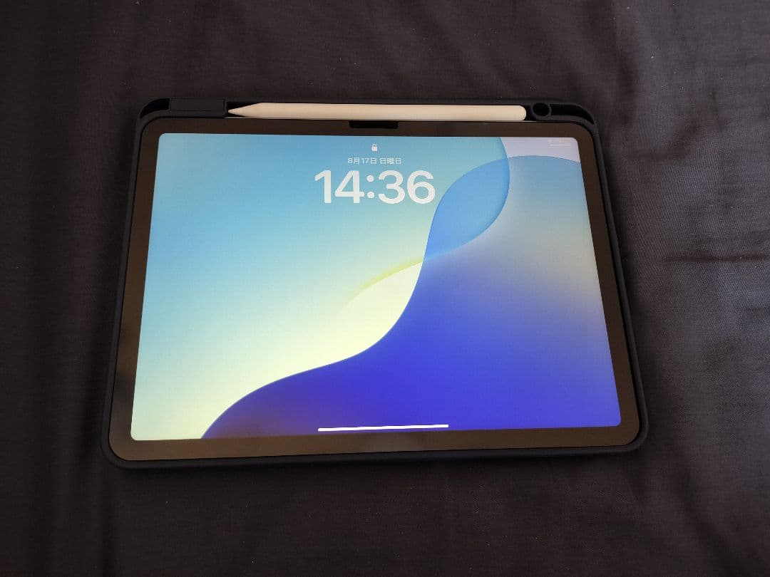 Apple iPad Air M3 11インチ 256GB