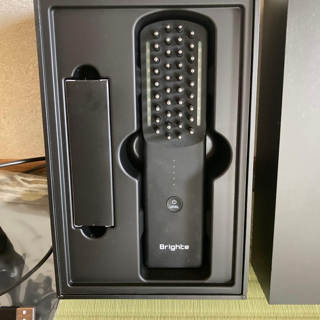 Brighte ELEGI BRUSH 美顔器