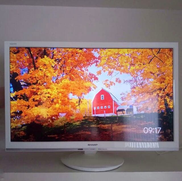 テレビ SHARP AQUOS P P5 LC-24P5-W